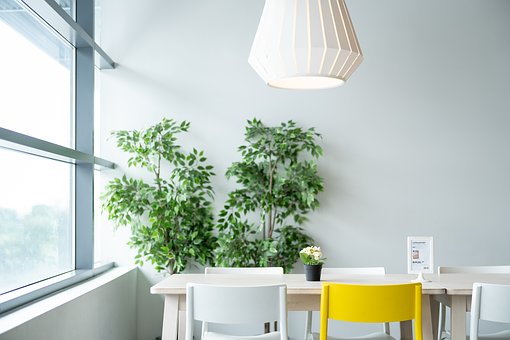 How to Create an Urban Jungle Interior