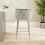 Bella Boutique Grey Velvet Bar Stool with Brushed Steel Legs