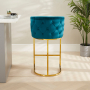 Bonita Boutique Teal Velvet Bar Stool with Gold Base