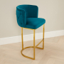 Bonita Boutique Teal Velvet Bar Stool with Gold Base