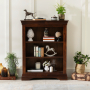 French Hardwood Mahogany Stained Low Bookcase