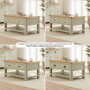 Marbury Sage Green Painted 2 Drawer Coffee Table with Shelf